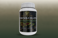 Forskolin Extract Caps image 1